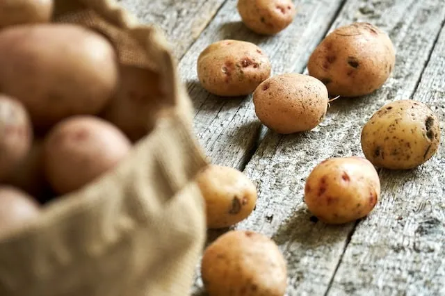 best dividend stock lamb weston sack potatoes