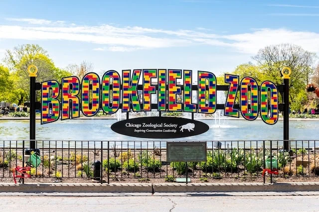 senior discount brookfield zoo chicago 640
