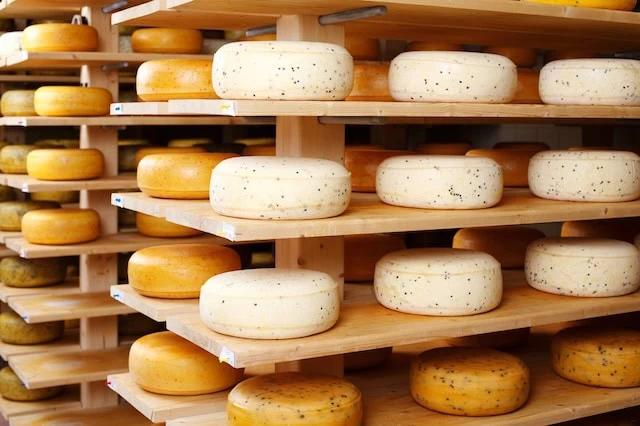 trader joes cheese wheels 640